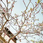 Magnolia Con Giardino 度假居 巴里