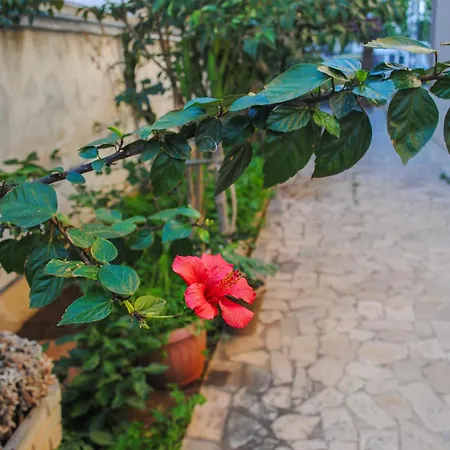 Magnolia Con Giardino Bari