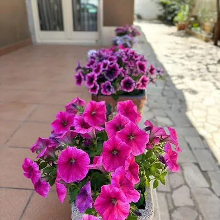 Magnolia Con Giardino * Барі