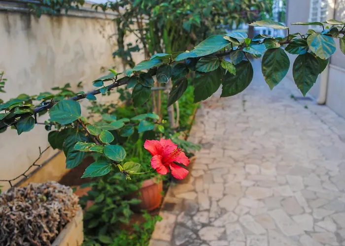 Magnolia Con Giardino Bari