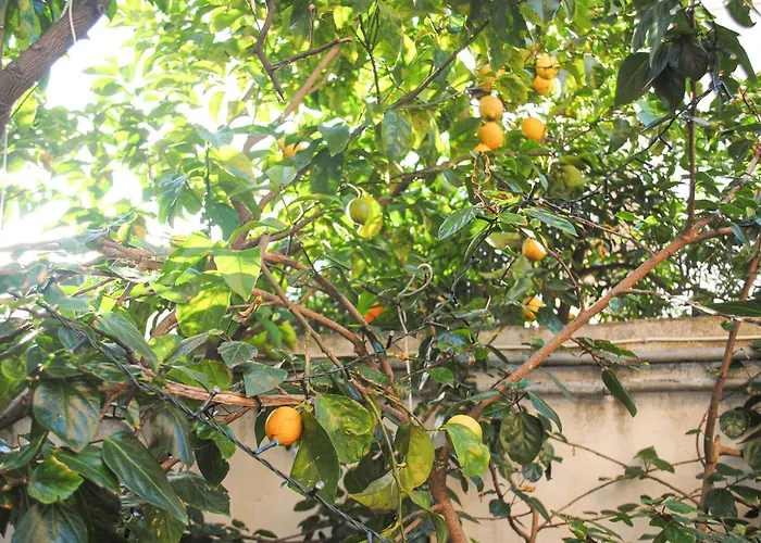 Magnolia Con Giardino Ferienhaus Bari