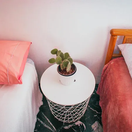 Magnolia Con Giardino *